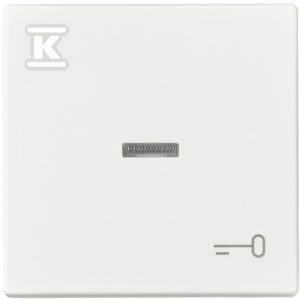 Klawisz z symbolem „klucz” 1789 TR-884 2CKA001751A3032 Klawisz z symbolem „klucz” 1789 TR-884 2CKA001751A3032