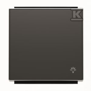 Klawisz z symbolem „światło”, 1-krotny 8504.2 NS 2CLA850420A1501 Klawisz z symbolem „światło”, 1-krotny 8504.2 NS 2CLA850420A1501