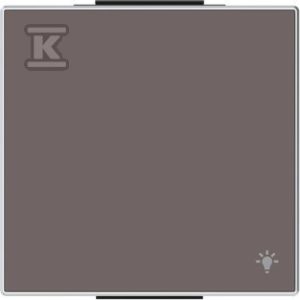 Klawisz z symbolem „światło”, 1-krotny Taupé 8504.2 TP 2CLA850420A6301 Klawisz z symbolem „światło”, 1-krotny Taupé 8504.2 TP 2CLA850420A6301