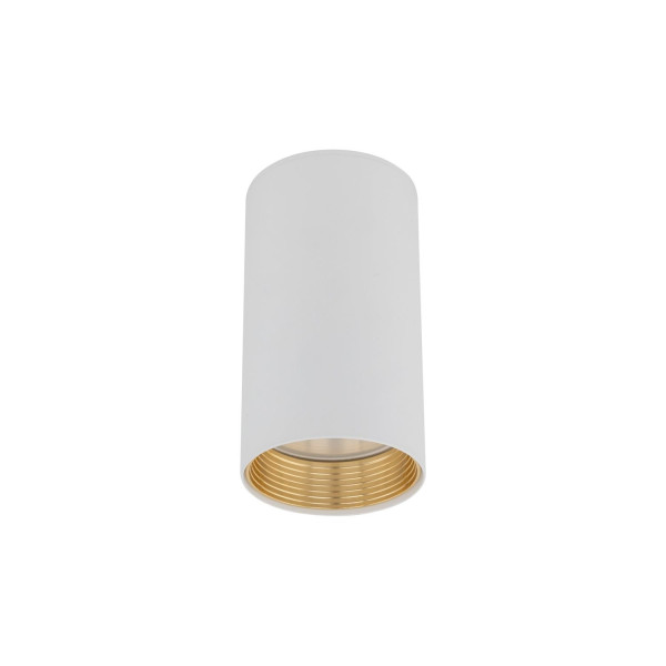 Oprawa natynkowa spot AMIS WHITE DOWNLIGHT 10719 TK Lighting 1002521
