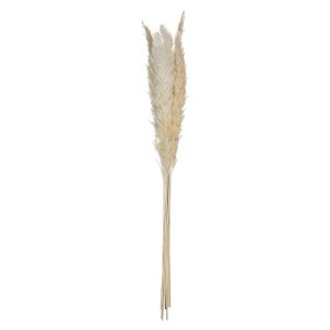 Ozdobne źdźbło z trawy pampasowej, 6 szt., 65 cm 146024