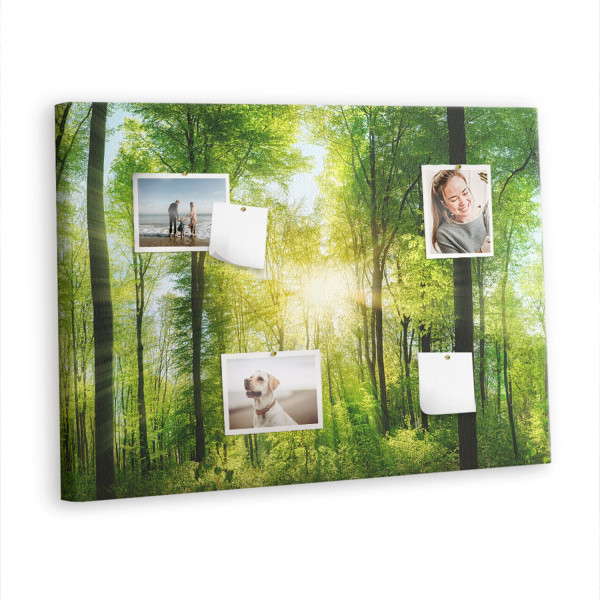 Tablica korkowa z nadrukiem organizer + pinezki Natura las 395538