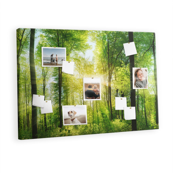 Tablica korkowa z nadrukiem organizer + pinezki Natura las 395583