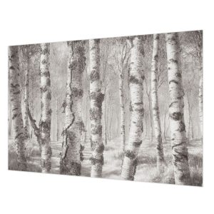 Tapeta Brzozowy las pastelowa do sypialni flizelina 152×104 1025101