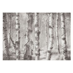 Tapeta Brzozowy las pastelowa do sypialni flizelina 208×146 1025236