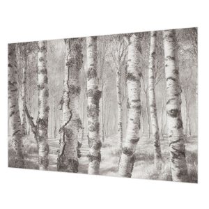 Tapeta Brzozowy las pastelowa do sypialni flizelina 312×219 1025038