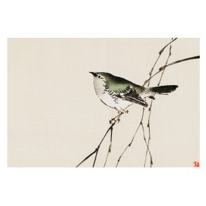 Tapeta Harmonijny ptak orientalna natura flizelinowa 104×70 931533