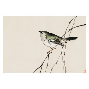 Tapeta Harmonijny ptak orientalna natura flizelinowa 152×104 931447