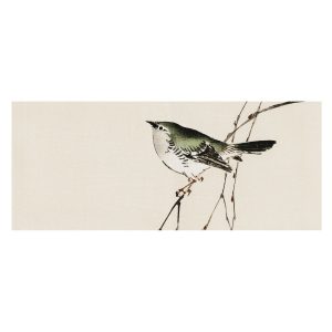 Tapeta Harmonijny ptak orientalna natura flizelinowa 250×104 931478