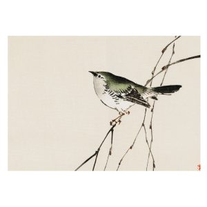 Tapeta Harmonijny ptak orientalna natura flizelinowa 312×219 931489