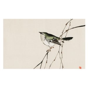 Tapeta Harmonijny ptak orientalna natura flizelinowa 416×254 931482