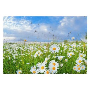 Tapeta Plażowa ścieżka do biura trwała łatwy montaż 152×104 934178 Tapeta Plażowa ścieżka do biura trwała łatwy montaż 152×104 934178