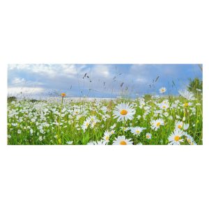 Tapeta Plażowa ścieżka do biura trwała łatwy montaż 250×104 934180 Tapeta Plażowa ścieżka do biura trwała łatwy montaż 250×104 934180