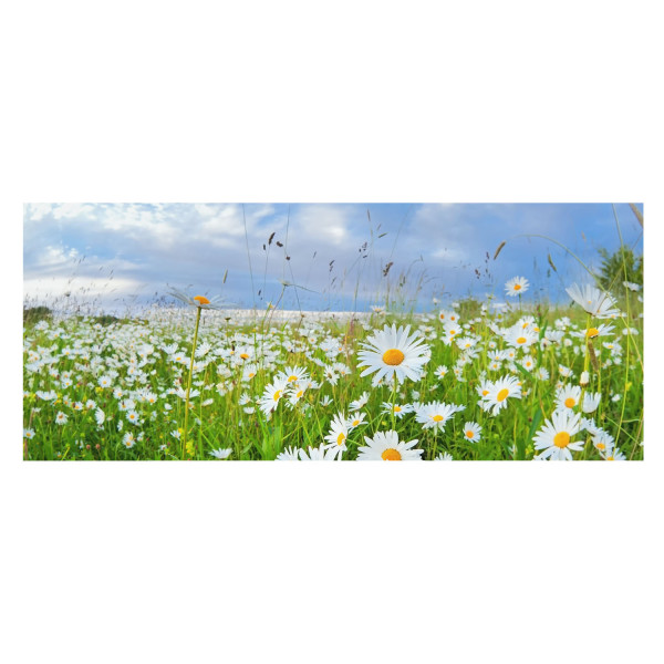 Tapeta Plażowa ścieżka do biura trwała łatwy montaż 250x104 934180