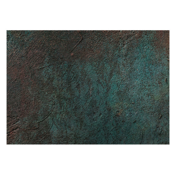 Tapeta Rustykalna powierzchnia stare drewno flizelina 208x146 930139