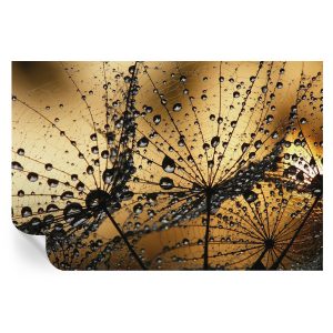 Tapeta samoprzylepna Delikatne krople 104×70 Tulup 967075 Tapeta samoprzylepna Delikatne krople 104×70 Tulup 967075