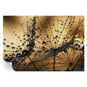 Tapeta samoprzylepna Delikatne krople 152×104 Tulup 967119 Tapeta samoprzylepna Delikatne krople 152×104 Tulup 967119