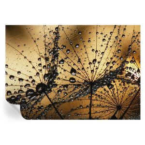 Tapeta samoprzylepna Delikatne krople 208×146 Tulup 967171 Tapeta samoprzylepna Delikatne krople 208×146 Tulup 967171
