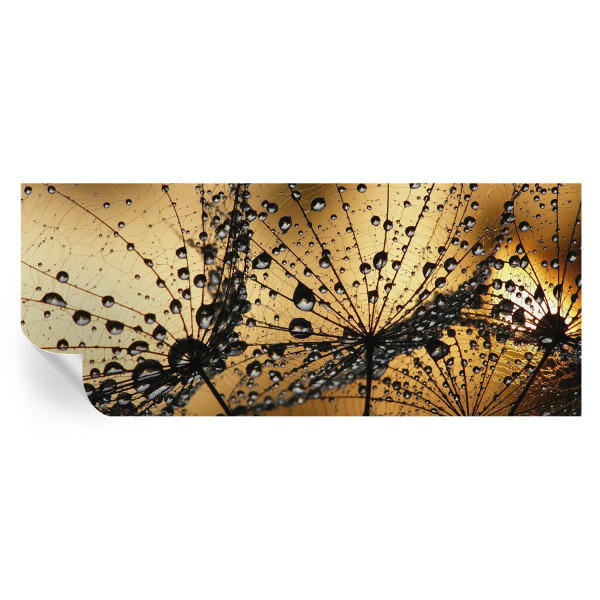 Tapeta samoprzylepna Delikatne krople 250x104 Tulup 967205