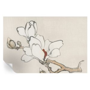 Tapeta samoprzylepna Delikatne magnolie 104×70 Tulup 967007 Tapeta samoprzylepna Delikatne magnolie 104×70 Tulup 967007