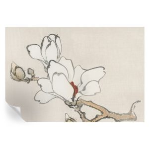 Tapeta samoprzylepna Delikatne magnolie 152×104 Tulup 967213 Tapeta samoprzylepna Delikatne magnolie 152×104 Tulup 967213