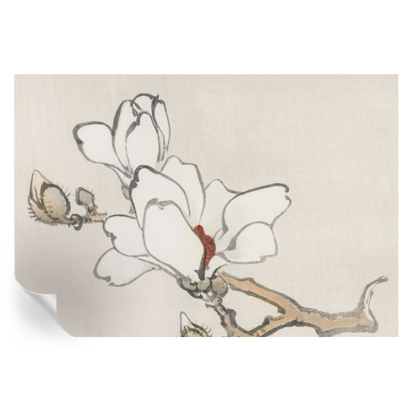 Tapeta samoprzylepna Delikatne magnolie 152x104 Tulup 967213