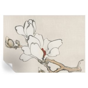 Tapeta samoprzylepna Delikatne magnolie 208×146 Tulup 967063 Tapeta samoprzylepna Delikatne magnolie 208×146 Tulup 967063