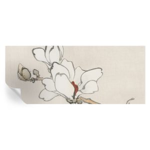 Tapeta samoprzylepna Delikatne magnolie 250×104 Tulup 967162 Tapeta samoprzylepna Delikatne magnolie 250×104 Tulup 967162