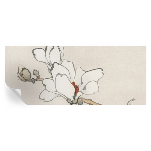 Tapeta samoprzylepna Delikatne magnolie 250x104 Tulup 967162