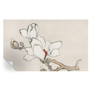 Tapeta samoprzylepna Delikatne magnolie 416×254 Tulup 967148 Tapeta samoprzylepna Delikatne magnolie 416×254 Tulup 967148