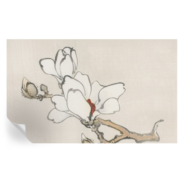 Tapeta samoprzylepna Delikatne magnolie 416x254 Tulup 967148