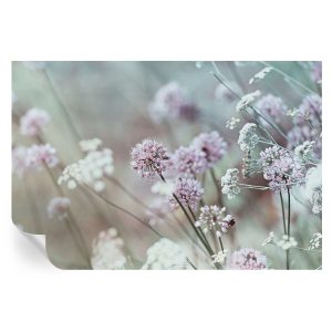Tapeta samoprzylepna Polne kwiaty 104×70 Tulup 966984 Tapeta samoprzylepna Polne kwiaty 104×70 Tulup 966984